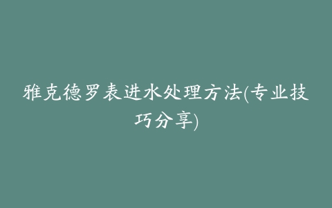 雅克德罗表进水处理方法(专业技巧分享)