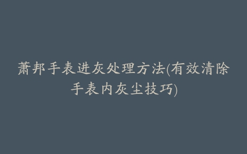 萧邦手表进灰处理方法(有效清除手表内灰尘技巧)