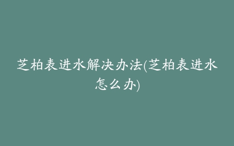 芝柏表进水解决办法(芝柏表进水怎么办)