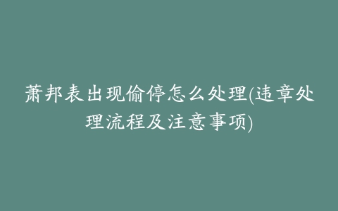 萧邦表出现偷停怎么处理(违章处理流程及注意事项)