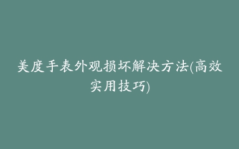 美度手表外观损坏解决方法(高效实用技巧)