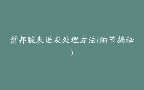 萧邦腕表进灰处理方法(细节揭秘)