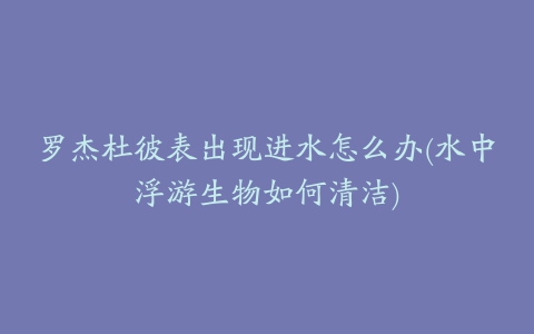 罗杰杜彼表出现进水怎么办(水中浮游生物如何清洁)