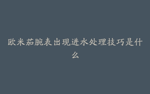 欧米茄腕表出现进水处理技巧是什么