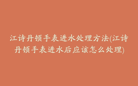 江诗丹顿手表进水处理方法(江诗丹顿手表进水后应该怎么处理)
