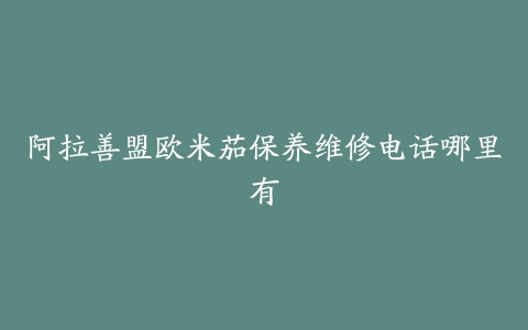 阿拉善盟欧米茄保养维修电话哪里有