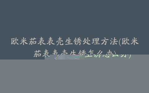 欧米茄表表壳生锈处理方法(欧米茄表表壳生锈怎么办)
