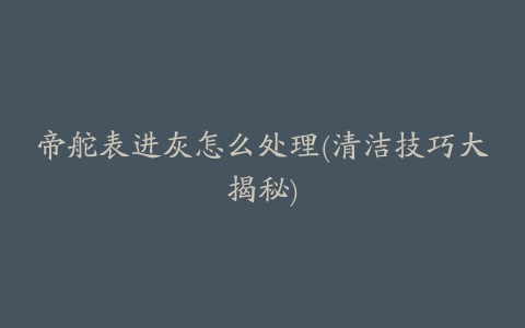 帝舵表进灰怎么处理(清洁技巧大揭秘)