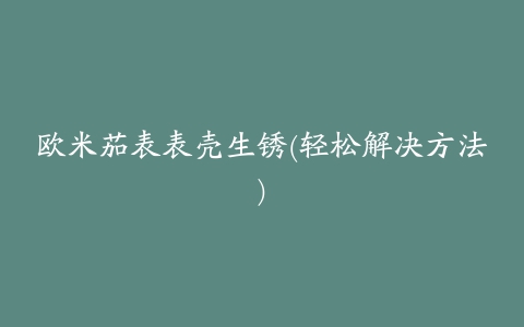 欧米茄表表壳生锈(轻松解决方法)