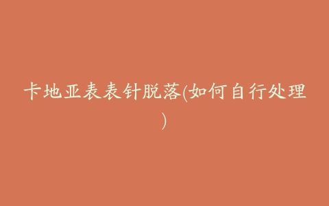 卡地亚表表针脱落(如何自行处理)