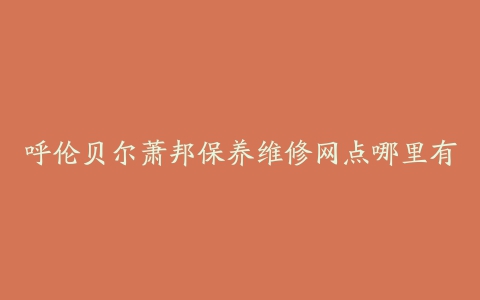 呼伦贝尔萧邦保养维修网点哪里有