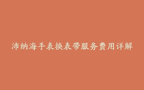 沛纳海手表换表带服务费用详解
