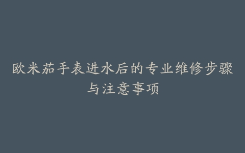 欧米茄手表进水后的专业维修步骤与注意事项