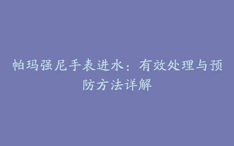 帕玛强尼手表进水：有效处理与预防方法详解