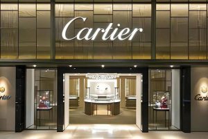 cartiermd013