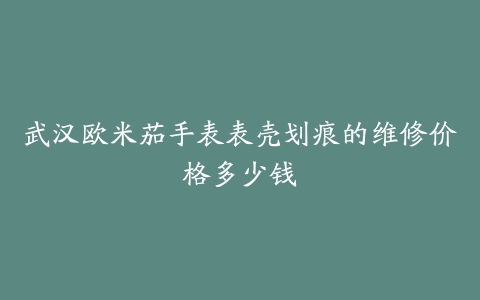 武汉欧米茄手表表壳划痕的维修价格多少钱