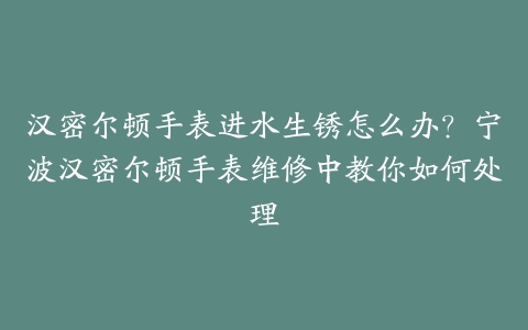 汉密尔顿手表进水生锈怎么办？宁波汉密尔顿手表维修中教你如何处理-保养之家