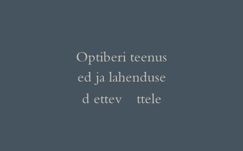 Optiberi teenused ja lahendused ettevõttele