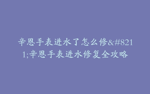 辛恩手表进水了怎么修–辛恩手表进水修复全攻略-保养之家 辛恩手表进水了怎么修–辛恩手表进水修复全攻略-保养之家