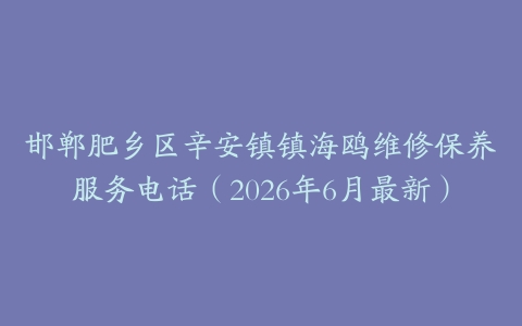 邯郸肥乡区辛安镇镇海鸥维修保养服务电话（2026年6月最新）
